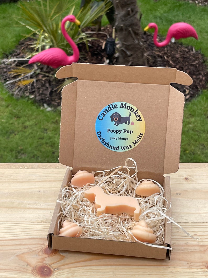 Poopy Pups - Summer Collection Dachshund Sausage Dog Wax Melts Tropical Beach Scents Free UK Post