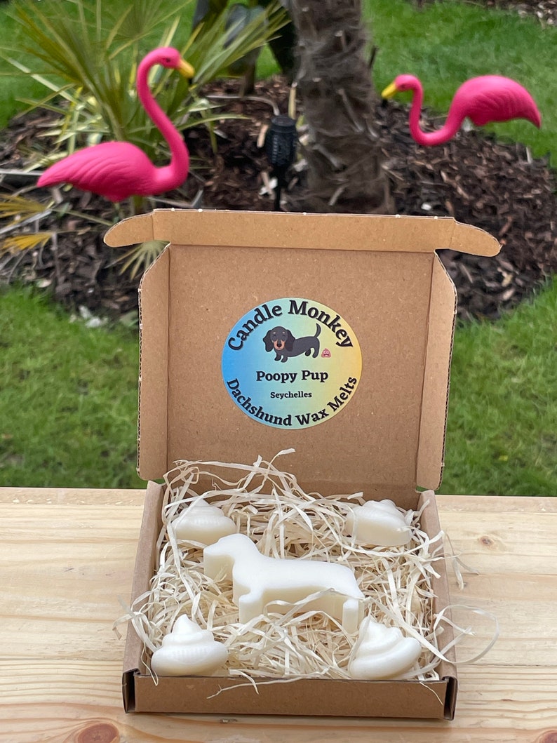 Poopy Pups - Summer Collection Dachshund Sausage Dog Wax Melts Tropical Beach Scents Free UK Post