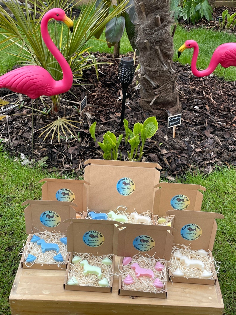 Poopy Pups - Summer Collection Dachshund Sausage Dog Wax Melts Tropical Beach Scents Free UK Post