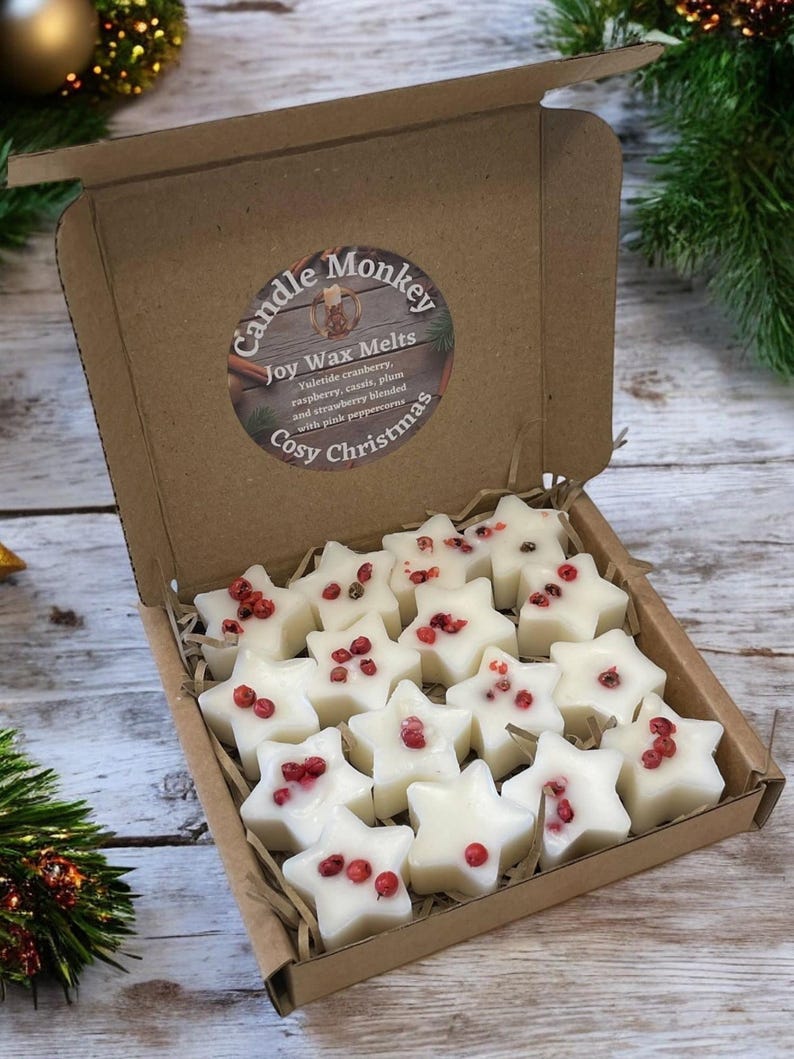Cosy Christmas Soy Wax Melt Gift | Botanicals | Hand Made in My Kitchen | Vegan Stocking Filler | No Artificial Colours | Free Delivery