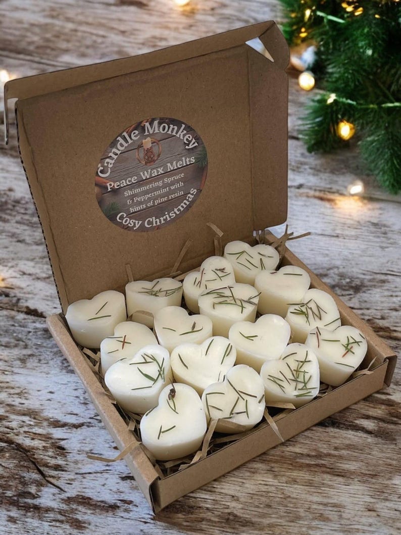 Cosy Christmas Soy Wax Melt Gift | Botanicals | Hand Made in My Kitchen | Vegan Stocking Filler | No Artificial Colours | Free Delivery