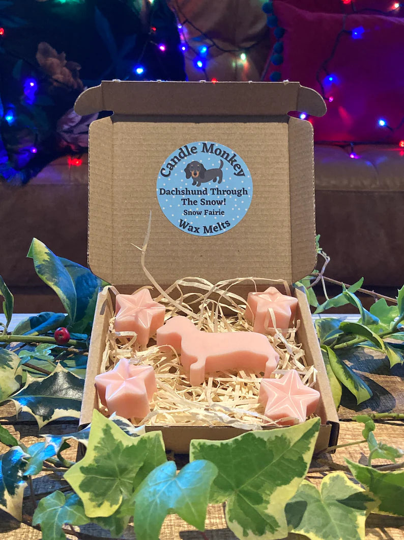 Dachshund Through The Snow! Sausage Dogs Christmas Festive Scented Wax Melts In Gift Box Free UK Post
