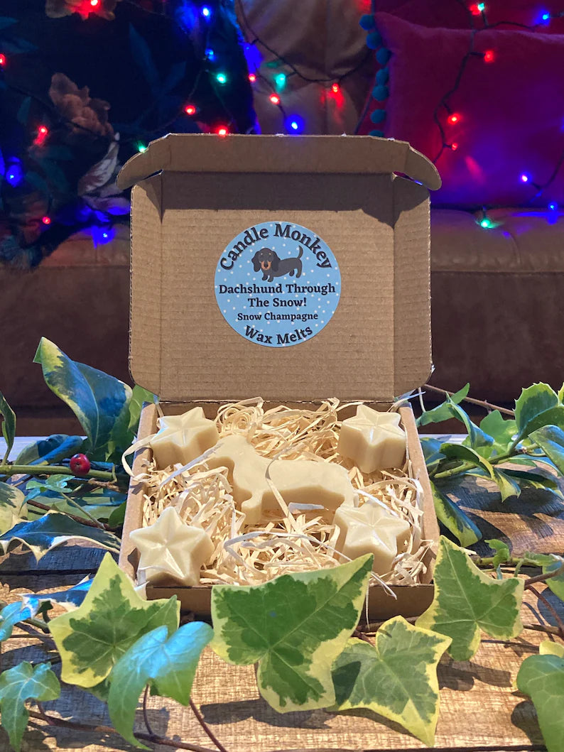 Dachshund Through The Snow! Sausage Dogs Christmas Festive Scented Wax Melts In Gift Box Free UK Post
