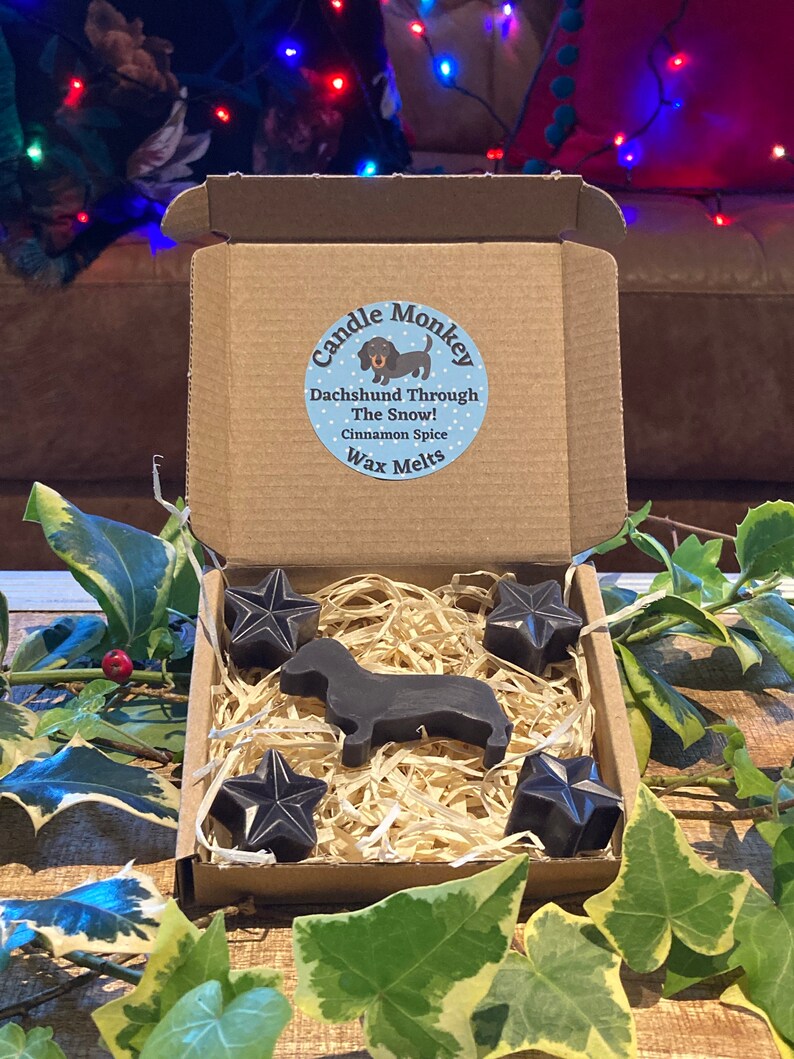 Dachshund Through The Snow! Sausage Dogs Christmas Festive Scented Wax Melts In Gift Box Free UK Post