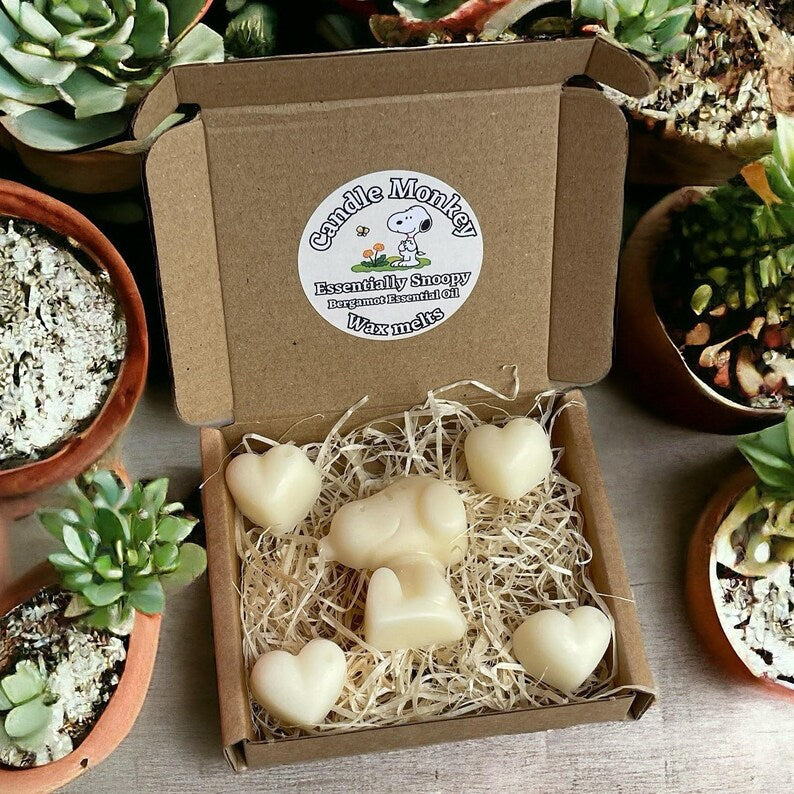 Homemade Essentially Snoopy Natural Essential Oils Wax Melts Collection in Gift Box Free UK Post