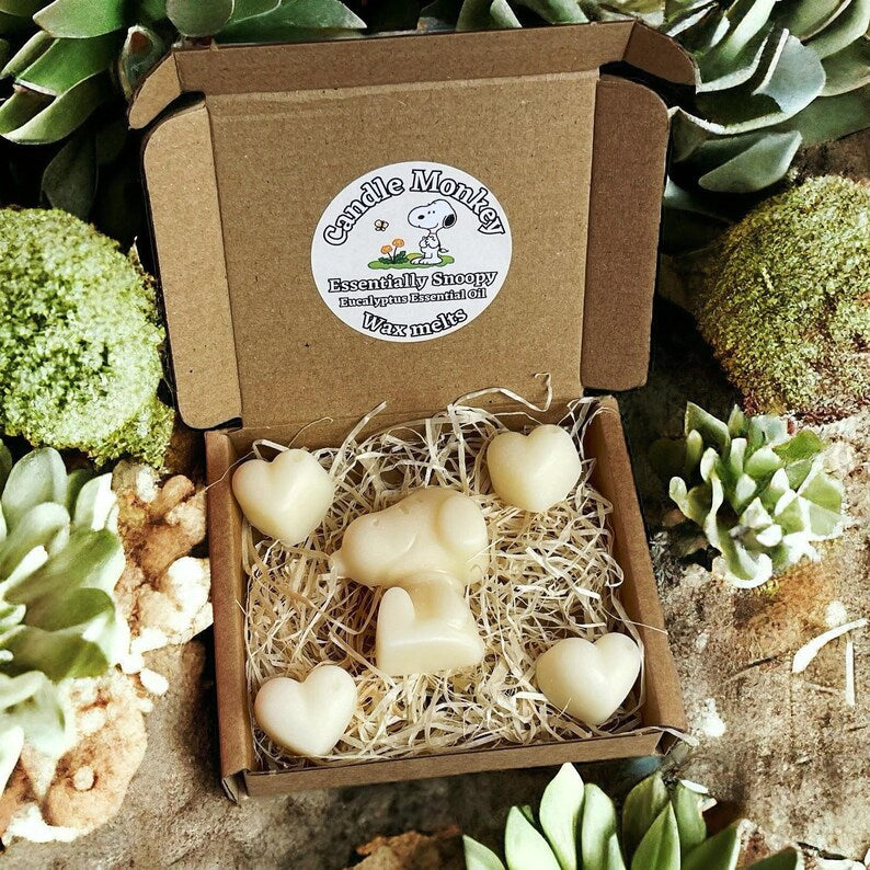 Homemade Essentially Snoopy Natural Essential Oils Wax Melts Collection in Gift Box Free UK Post