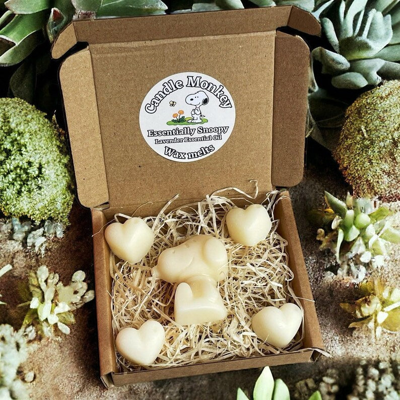 Homemade Essentially Snoopy Natural Essential Oils Wax Melts Collection in Gift Box Free UK Post