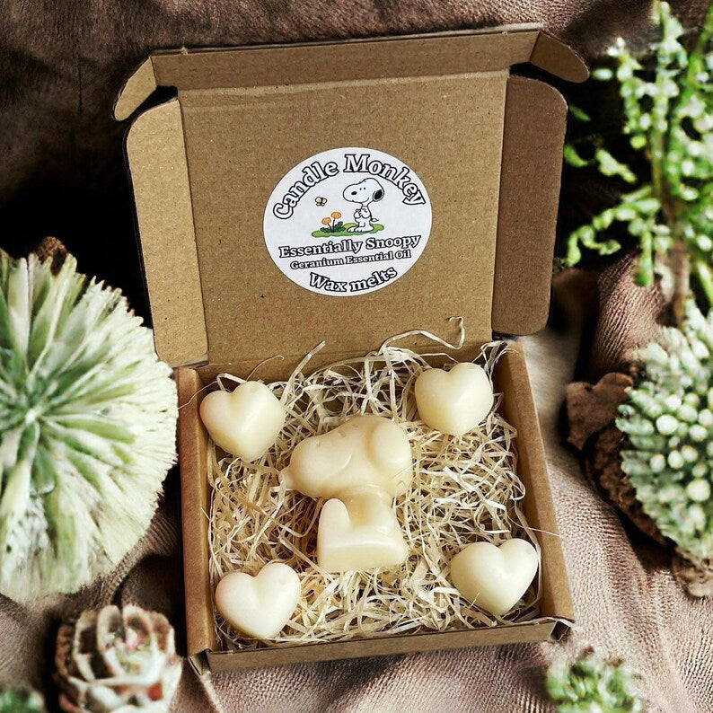 Homemade Essentially Snoopy Natural Essential Oils Wax Melts Collection in Gift Box Free UK Post