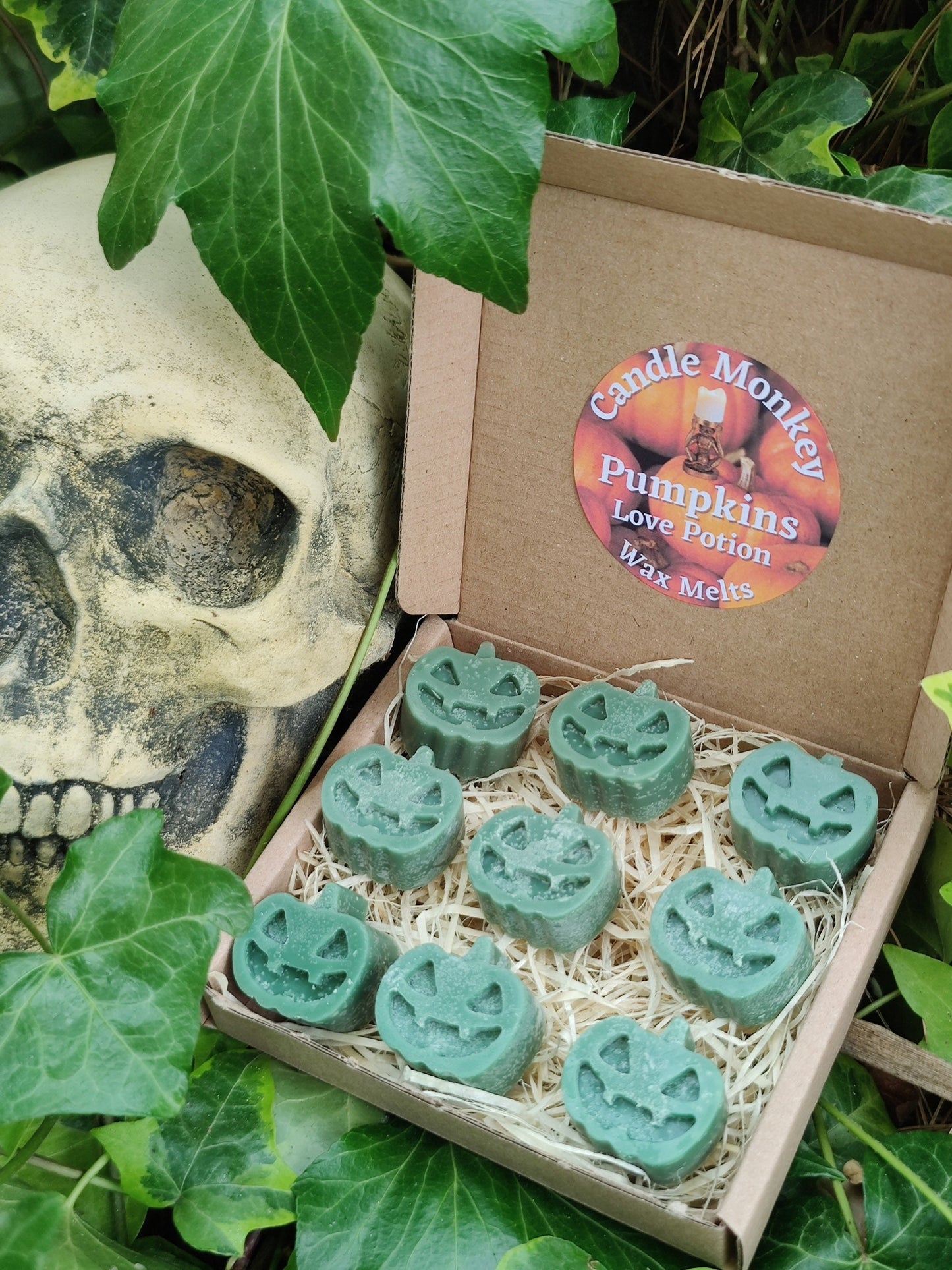 Pumpkins Soy Wax Melts in a choice of Pumpkin Spice, Bewitching Brew, Dragon's Blood, Hocus Pocus, Treacle Toffee, Love Potion Free UK Post