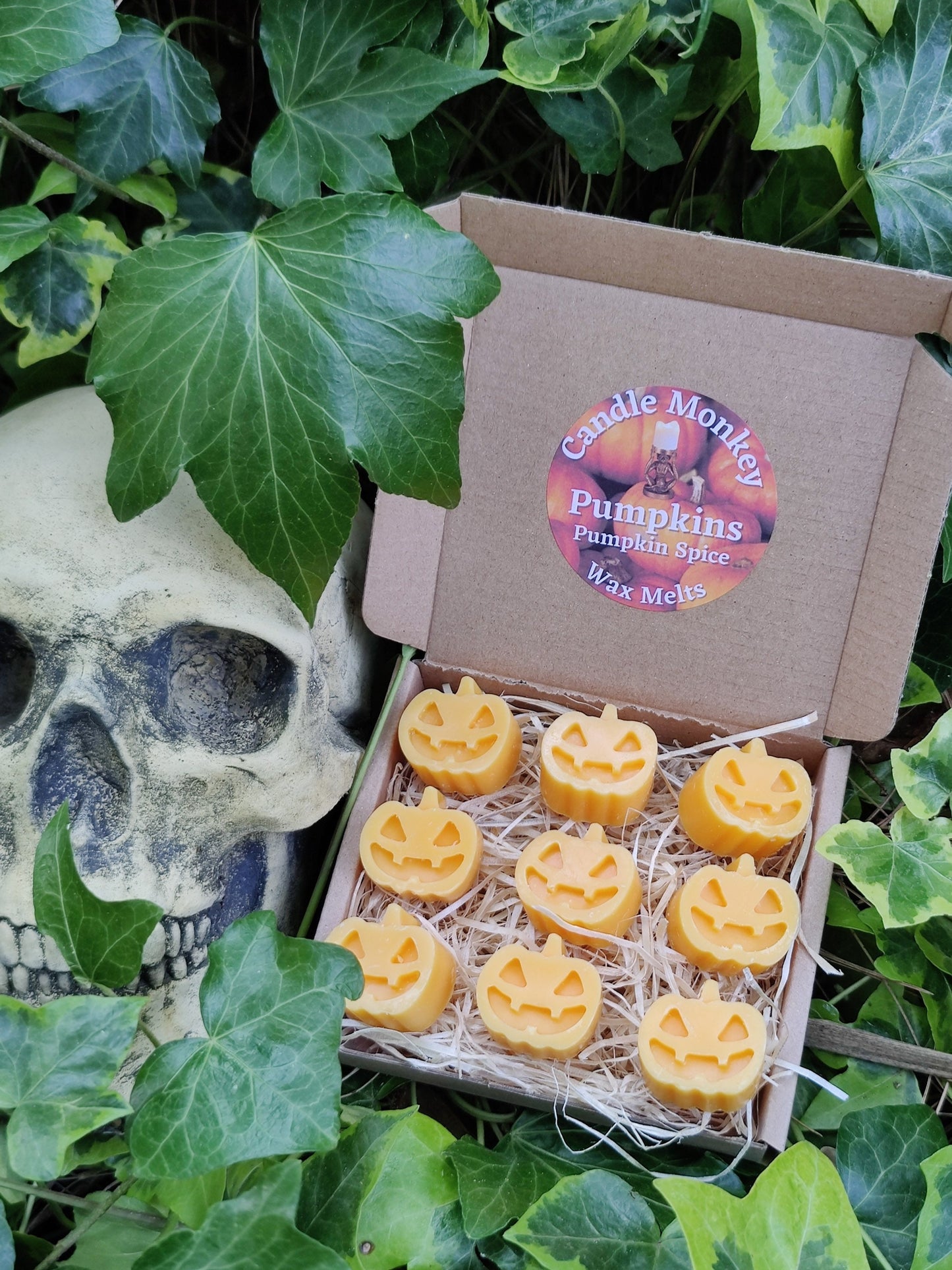 Pumpkins Soy Wax Melts in a choice of Pumpkin Spice, Bewitching Brew, Dragon's Blood, Hocus Pocus, Treacle Toffee, Love Potion Free UK Post