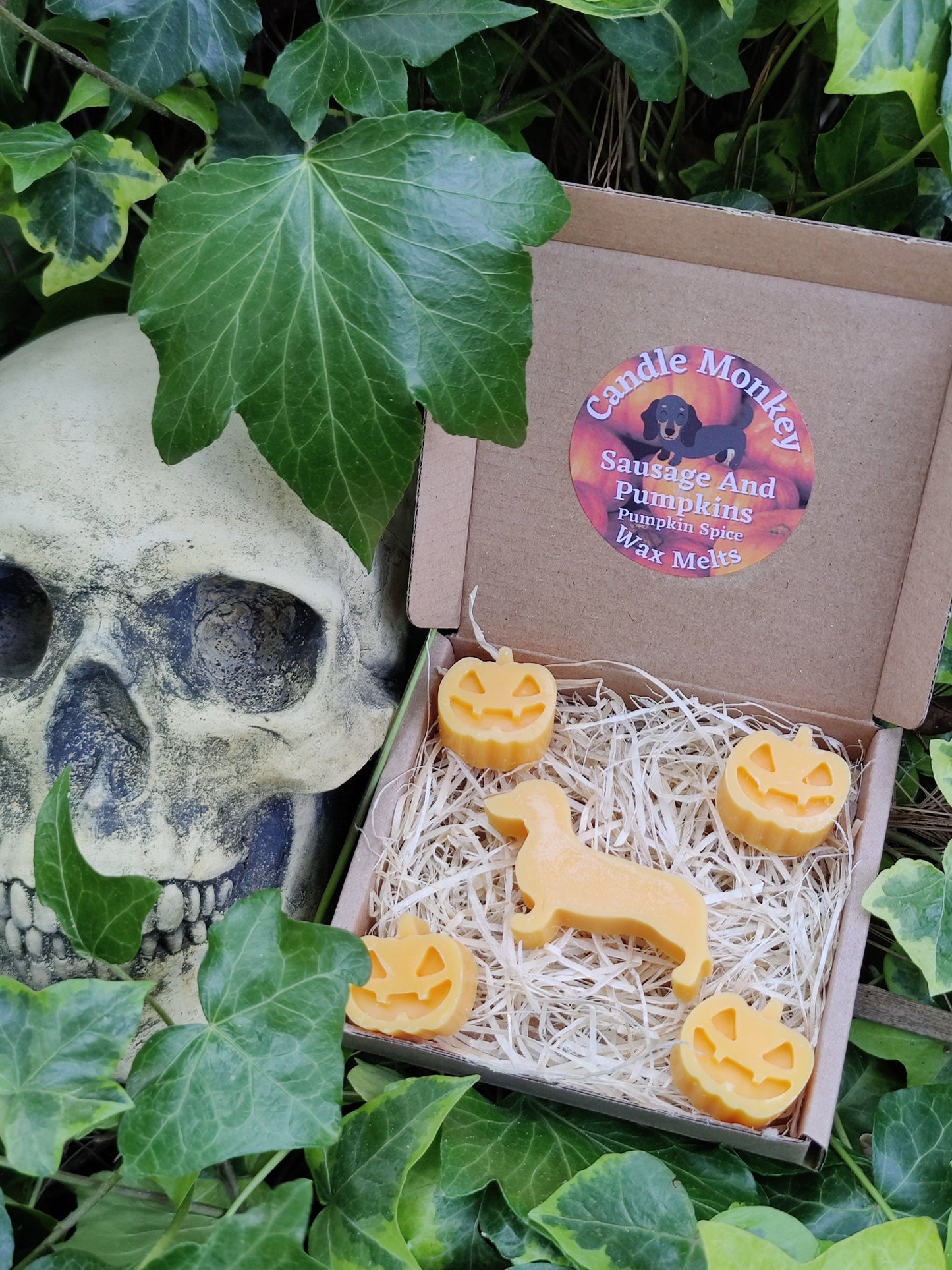 Sausages and Pumpkins Devilishly Good Halloween Dachshund Dog Soy Wax Melts Free UK Post