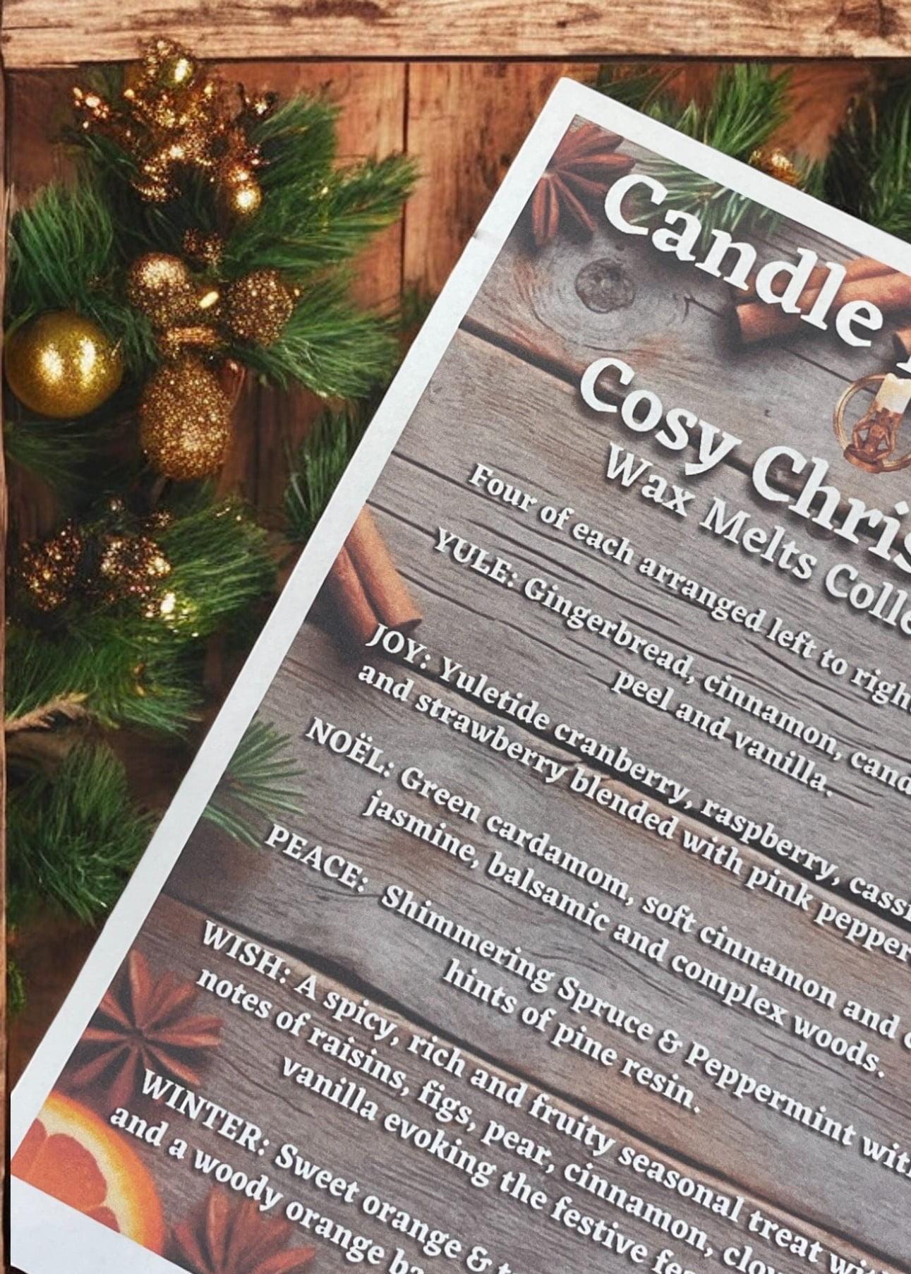 Cosy Christmas Soy Wax Melt Gift | Botanicals | Hand Made in My Kitchen | Vegan Stocking Filler | No Artificial Colours | Free Delivery