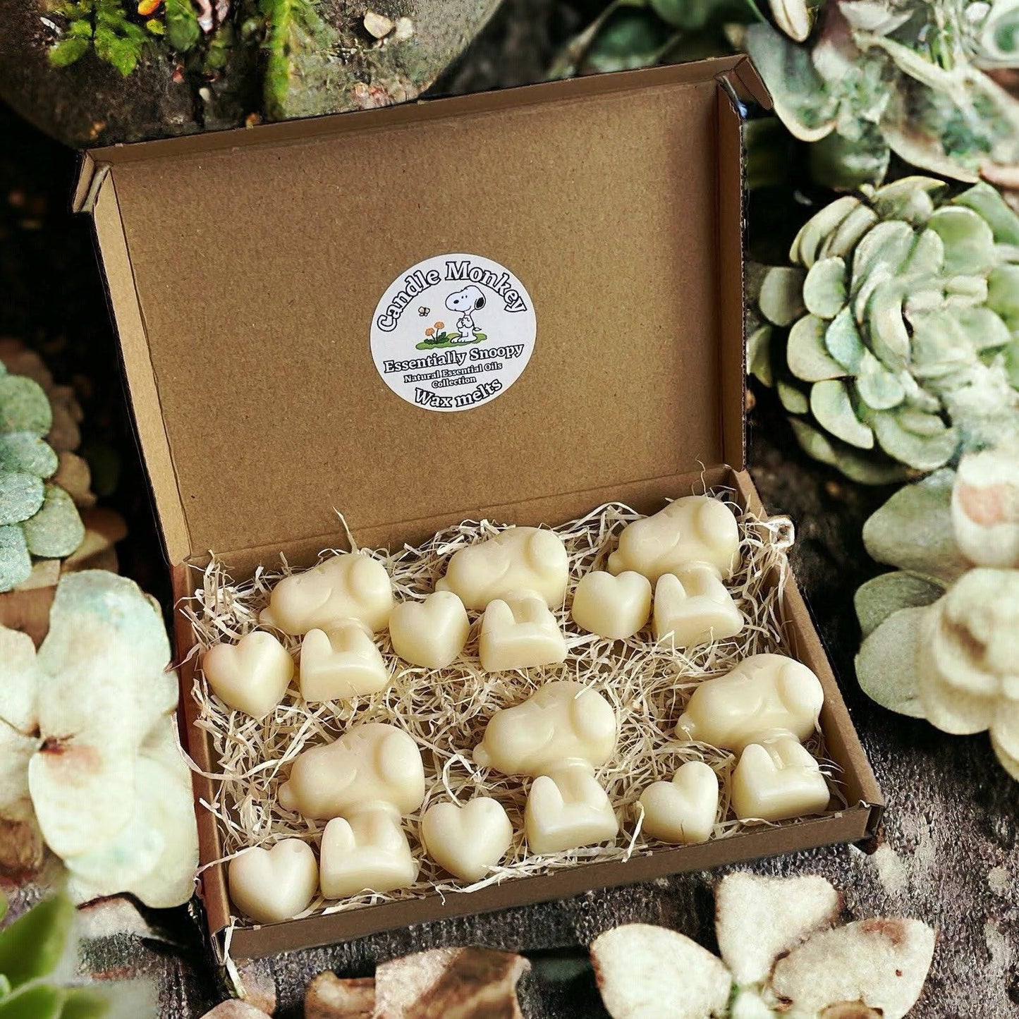 Homemade Essentially Snoopy Natural Essential Oils Wax Melts Collection in Gift Box Free UK Post