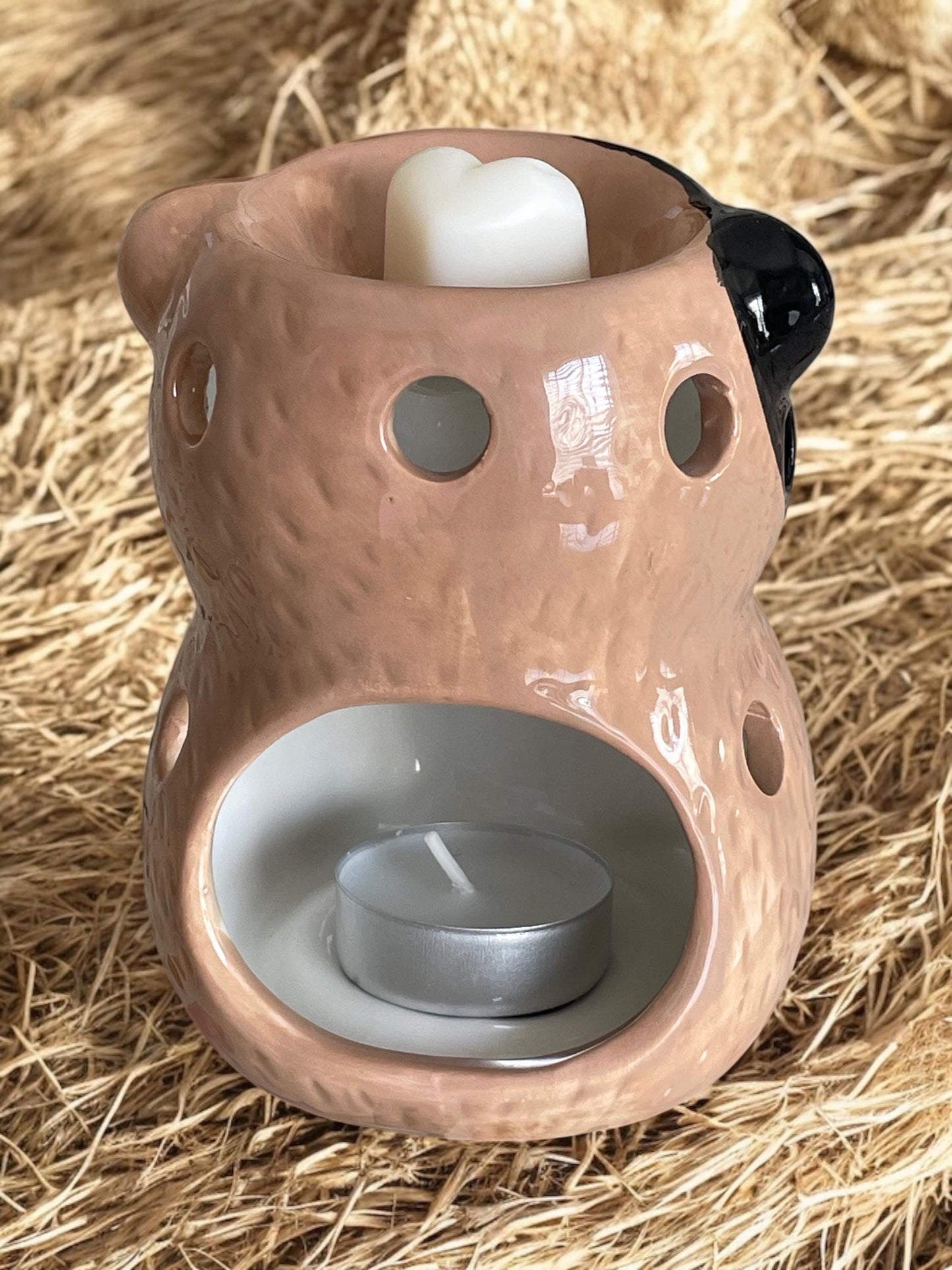 Guinea Pig Ceramic Wax Melt Burner Melter Free Postage to UK