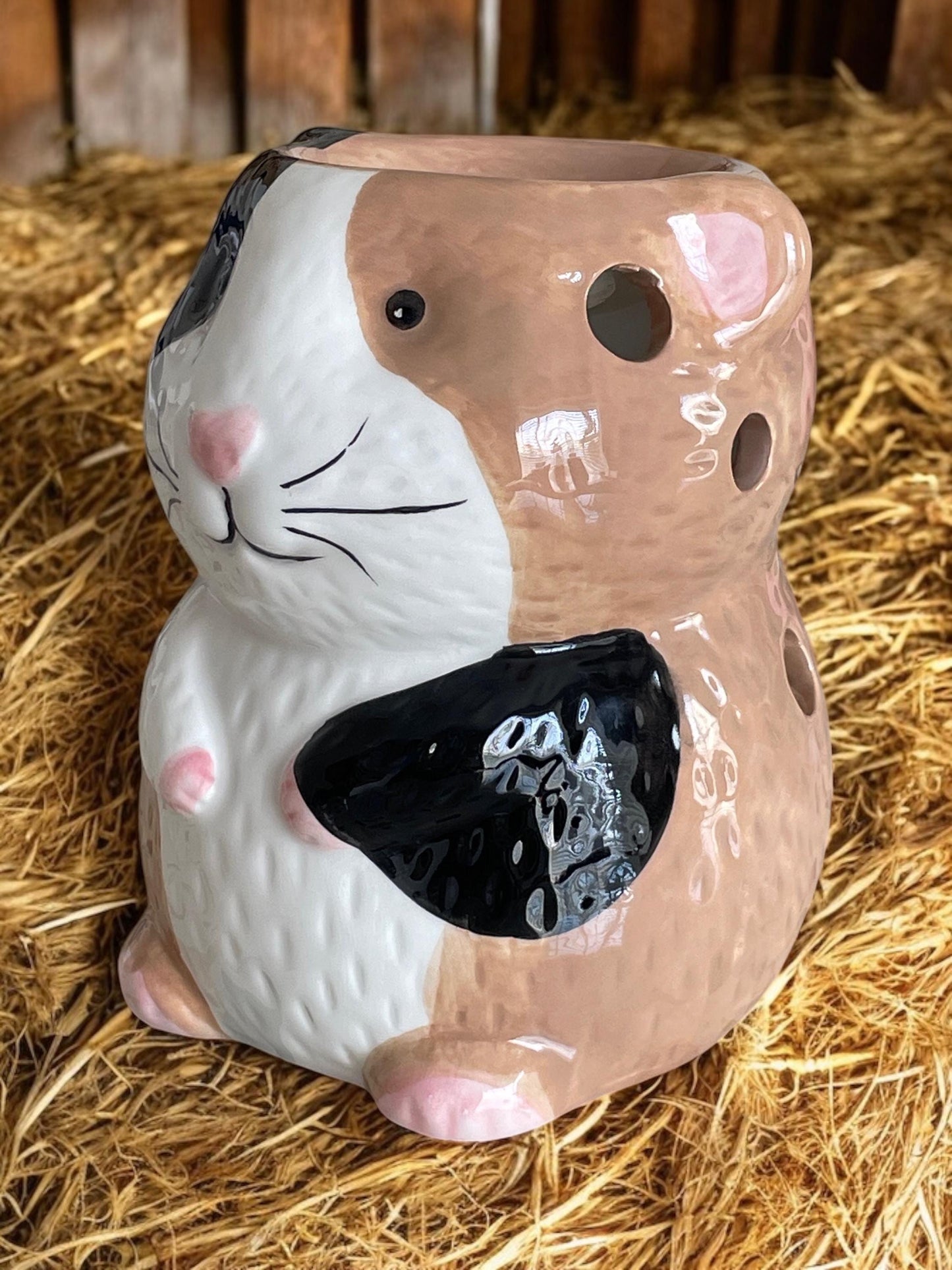 Guinea Pig Ceramic Wax Melt Burner Melter Free Postage to UK