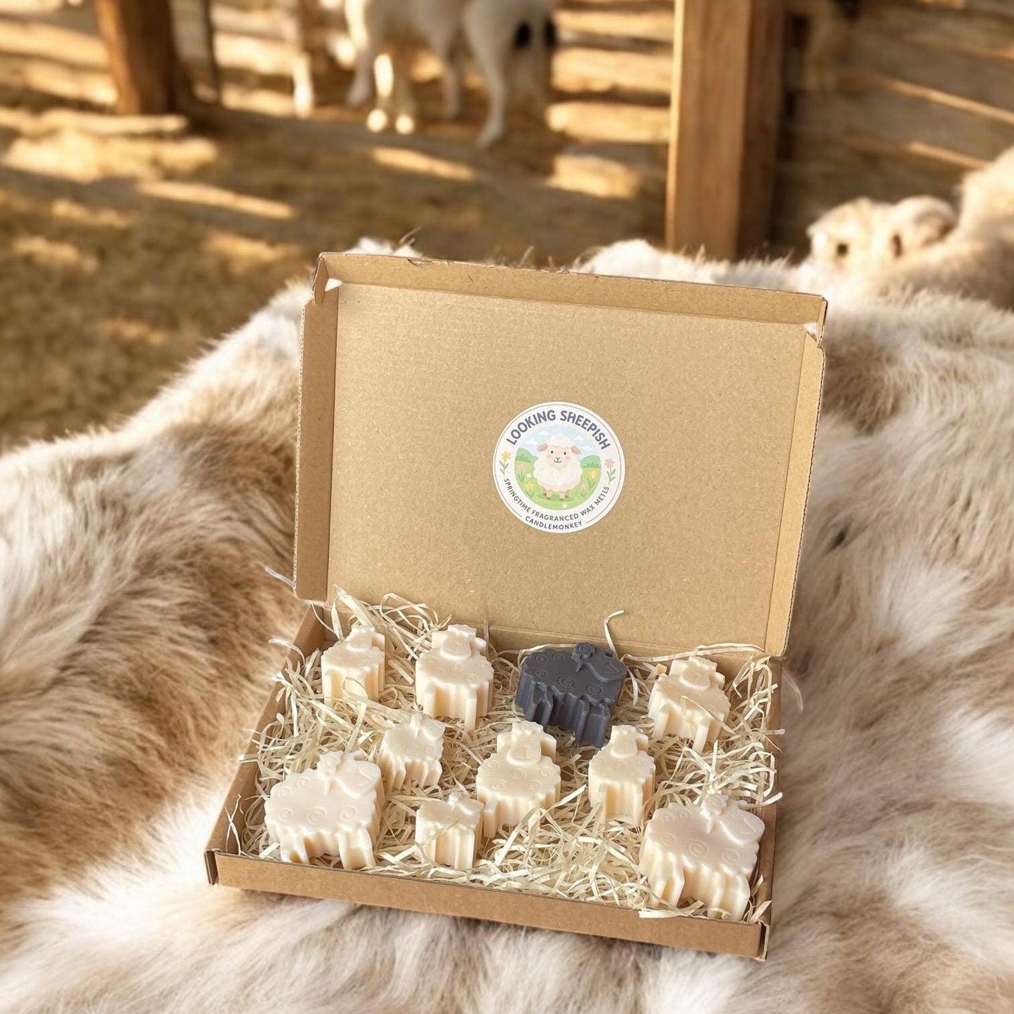 Looking Sheepish – Spring Lamb Farm Gift Box Of 10 Wax Melts (Free UK Post)