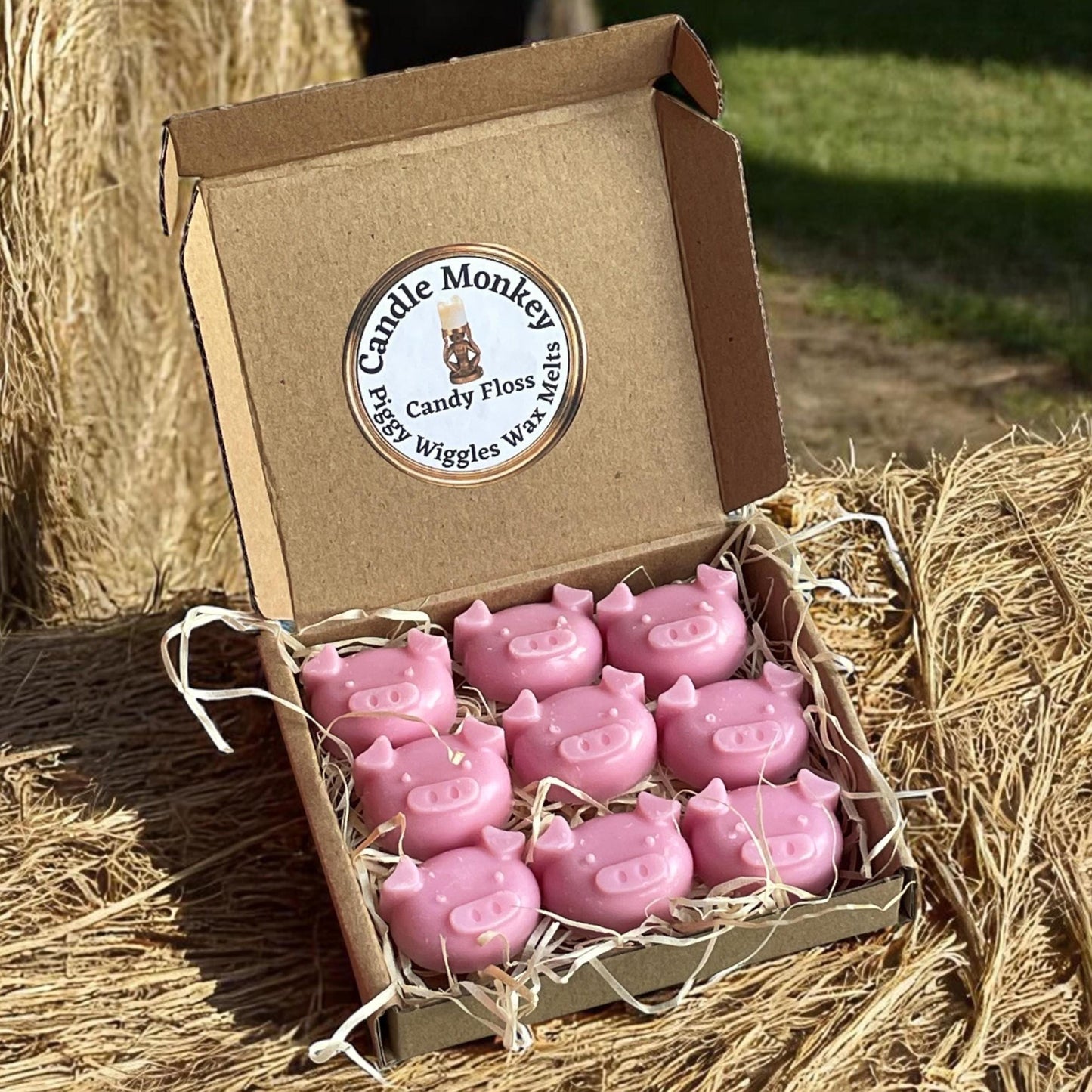 Pig Lover's Gift Set Piggy Wiggle Wax Melt Burner Wax Melts & Socks Birthday Hamper Free UK Post