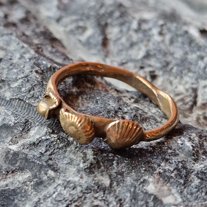 Ocean Relic, Solid Bronze 3 Shell Ring, Organic Handmade Jewellery,  Ancient Artefact Inspired Ring