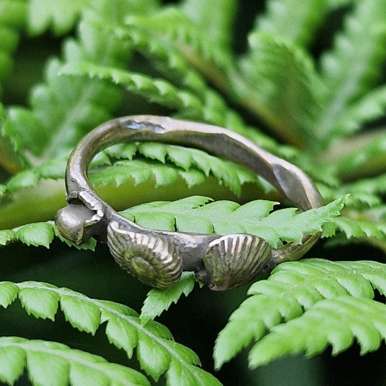Ocean Relic, Solid Bronze 3 Shell Ring, Organic Handmade Jewellery,  Ancient Artefact Inspired Ring