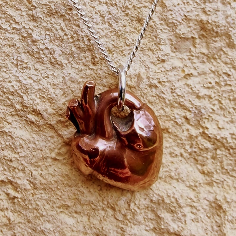 Anatomical Heart Pendant Necklace, Sterling Silver, Copper Or Bronze, Gothic Jewellery, Dark Romance Anatomy Gift