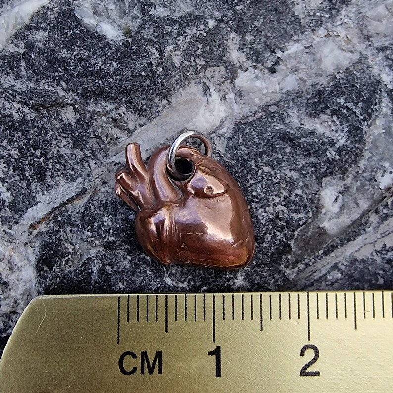 Anatomical Heart Pendant Necklace, Sterling Silver, Copper Or Bronze, Gothic Jewellery, Dark Romance Anatomy Gift