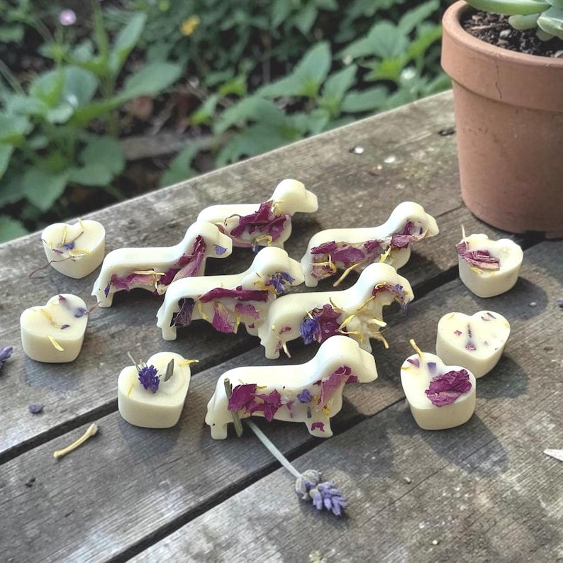 Handmade Dog Friendly Wax Melts, 12 Pure Soy Wax Dachshunds and Hearts with Wildflowers, Pet Friendly Essential Oil Pet Lovers Gift Box