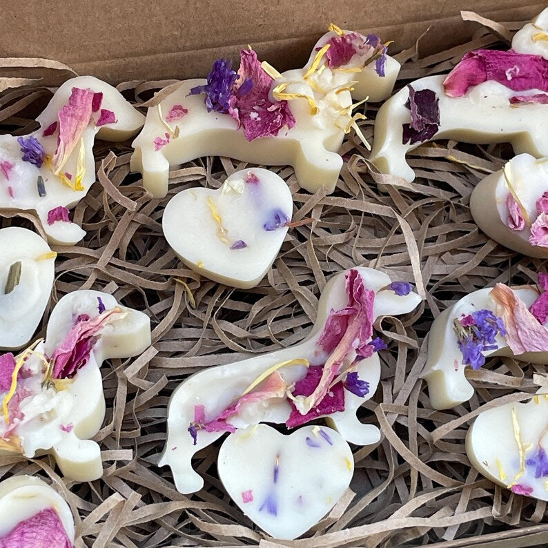 Handmade Dog Friendly Wax Melts, 12 Pure Soy Wax Dachshunds and Hearts with Wildflowers, Pet Friendly Essential Oil Pet Lovers Gift Box