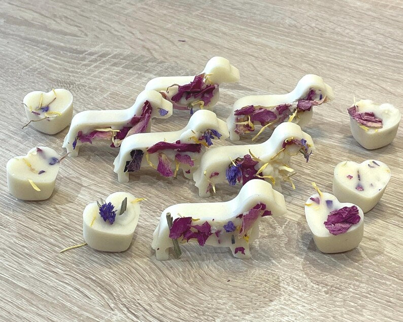 Handmade Dog Friendly Wax Melts, 12 Pure Soy Wax Dachshunds and Hearts with Wildflowers, Pet Friendly Essential Oil Pet Lovers Gift Box