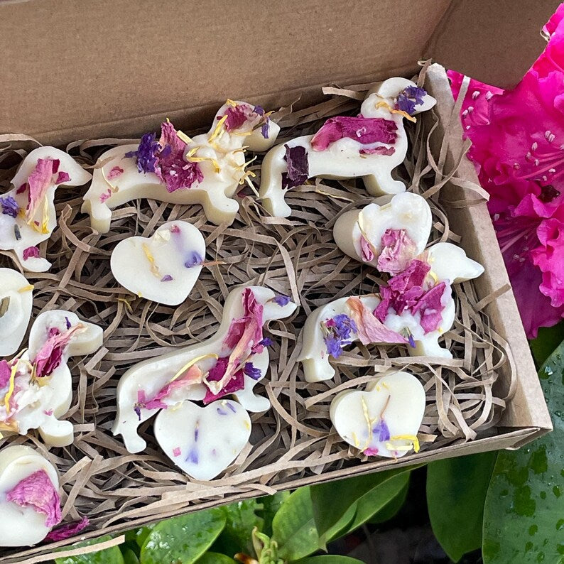 Handmade Dog Friendly Wax Melts, 12 Pure Soy Wax Dachshunds and Hearts with Wildflowers, Pet Friendly Essential Oil Pet Lovers Gift Box