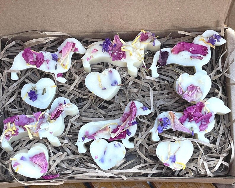 Handmade Dog Friendly Wax Melts, 12 Pure Soy Wax Dachshunds and Hearts with Wildflowers, Pet Friendly Essential Oil Pet Lovers Gift Box