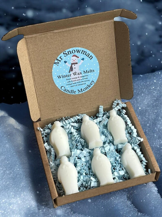 Homemade Mr Snowman Christmas 6 Wax Melts Set in Gift Box Free uk Post