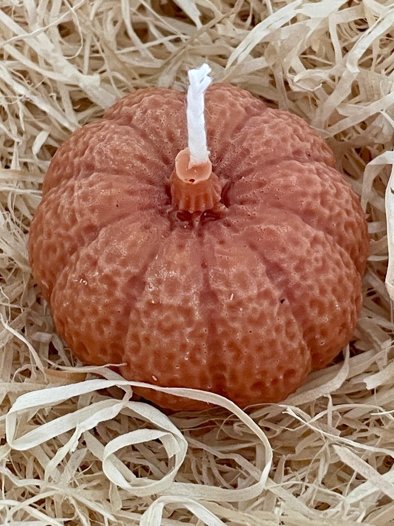 Handgemachte gebrannte orange Lippen, Hamsa-Hand, Alpaka, Totenkopf, abstrakte plissierte Terrakotta-Kerzen. Wählen Sie Duft/ätherisches Öl. Kostenloser Versand innerhalb Großbritanniens.