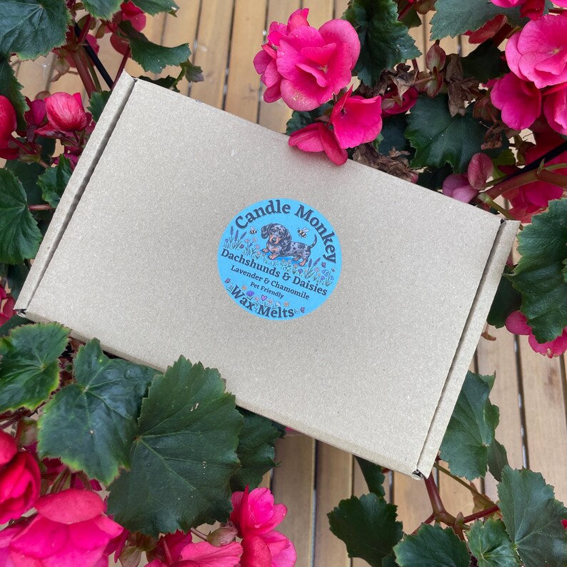Dachshunds & Daisies | 12 Handmade Dog Friendly Soy Wax Melts | Wildflower Essential Oil Gift Box