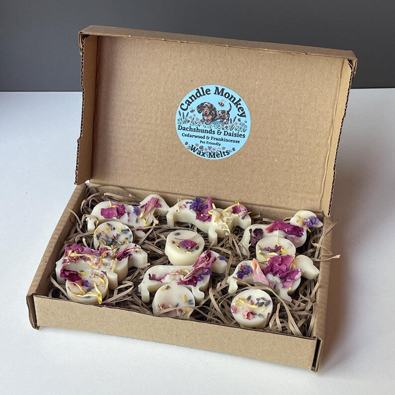 Dachshunds & Daisies | 12 Handmade Dog Friendly Soy Wax Melts | Wildflower Essential Oil Gift Box