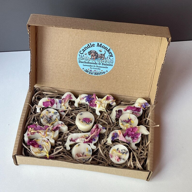 Dachshunds & Daisies | 12 Handmade Dog Friendly Soy Wax Melts | Wildflower Essential Oil Gift Box