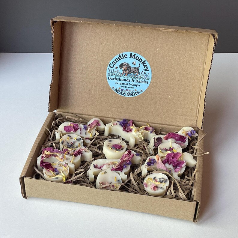 Dachshunds & Daisies | 12 Handmade Dog Friendly Soy Wax Melts | Wildflower Essential Oil Gift Box