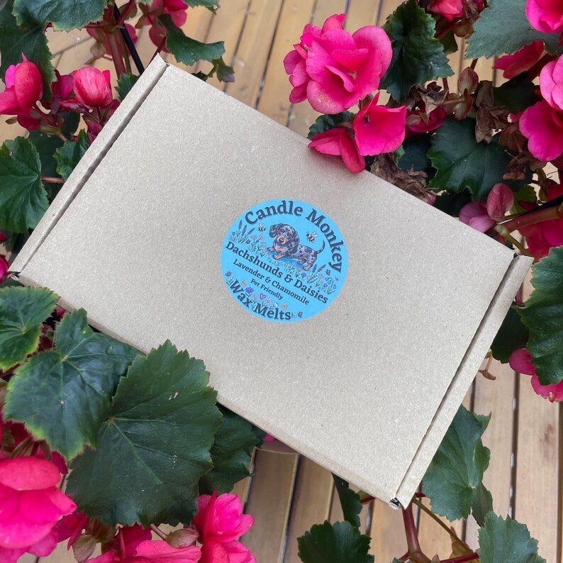Dachshunds & Daisies | 12 Handmade Dog Friendly Soy Wax Melts | Wildflower Essential Oil Gift Box