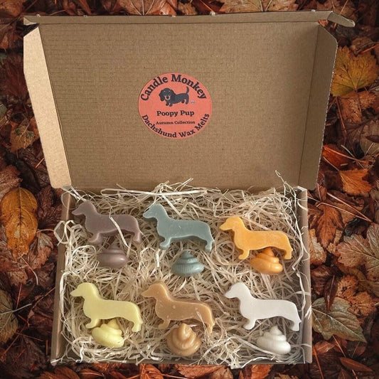 Poopy Pups - Autumn Collection Dachshund Sausage Dogs Wax Melts Festive Fall Scents Free UK Post
