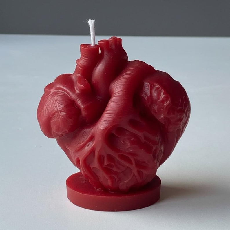 Anatomical Heart Candle, Doctor Surgeon Inspired Décor, Realistic Medical Sculpture