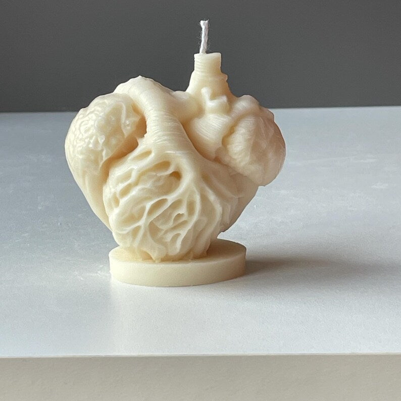 Anatomical Heart Candle, Doctor Surgeon Inspired Décor, Realistic Medical Sculpture
