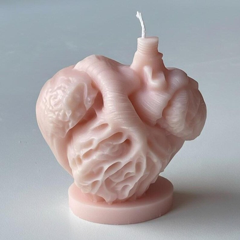 Anatomical Heart Candle, Doctor Surgeon Inspired Décor, Realistic Medical Sculpture