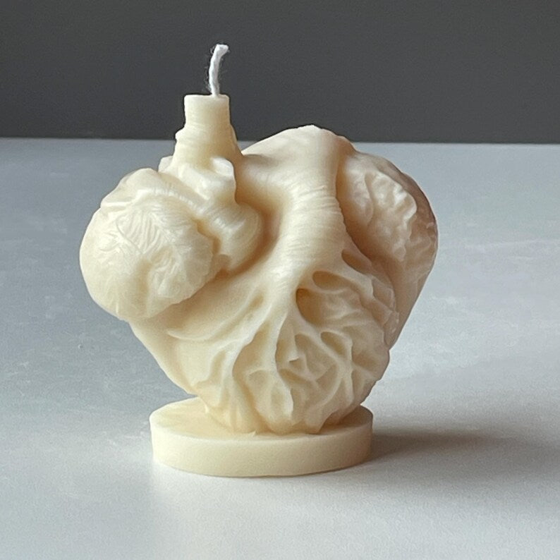 Anatomical Heart Candle, Doctor Surgeon Inspired Décor, Realistic Medical Sculpture