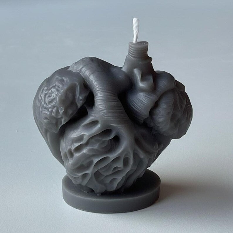 Anatomical Heart Candle, Doctor Surgeon Inspired Décor, Realistic Medical Sculpture