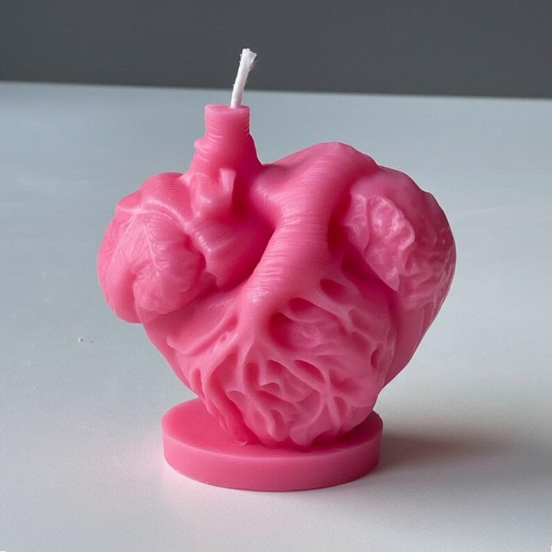 Anatomical Heart Candle, Doctor Surgeon Inspired Décor, Realistic Medical Sculpture