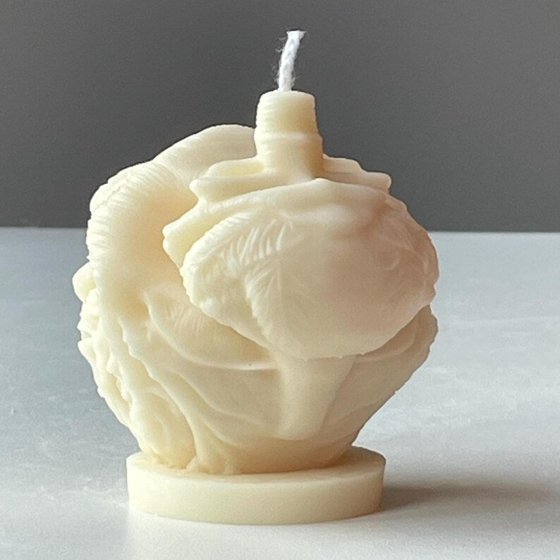 Anatomical Heart Candle, Doctor Surgeon Inspired Décor, Realistic Medical Sculpture