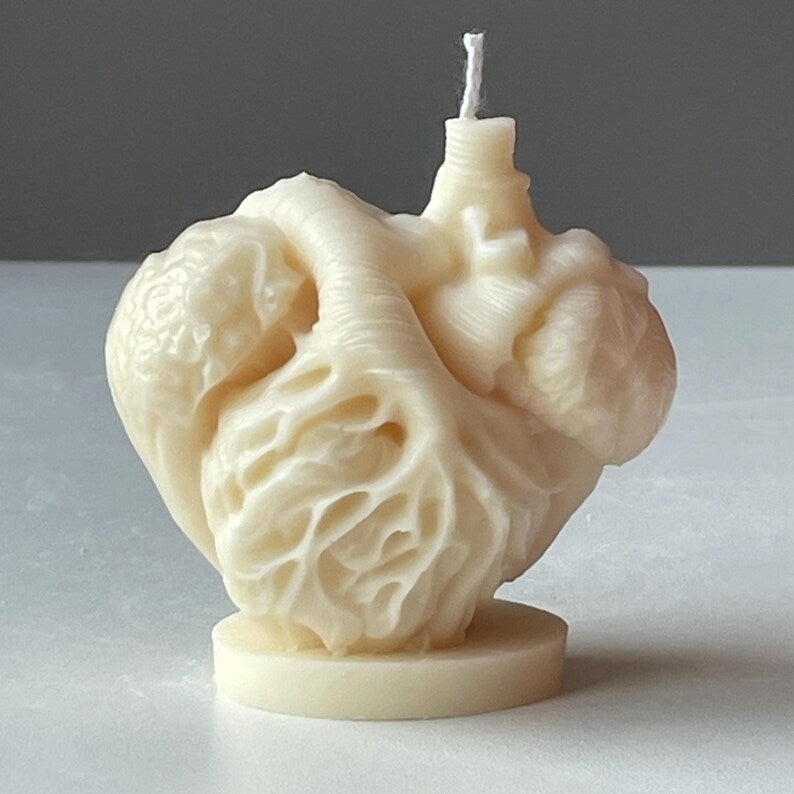 Anatomical Heart Candle, Doctor Surgeon Inspired Décor, Realistic Medical Sculpture
