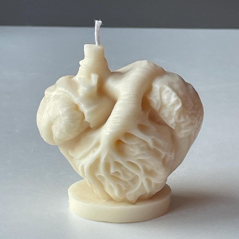Anatomical Heart Candle, Doctor Surgeon Inspired Décor, Realistic Medical Sculpture