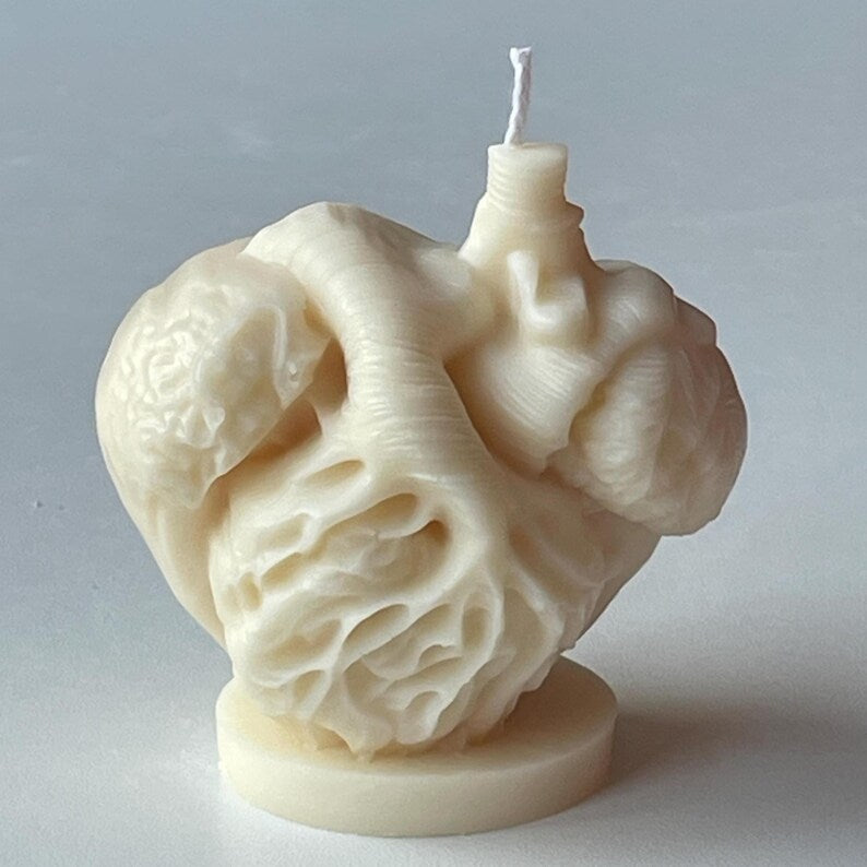 Anatomical Heart Candle, Doctor Surgeon Inspired Décor, Realistic Medical Sculpture