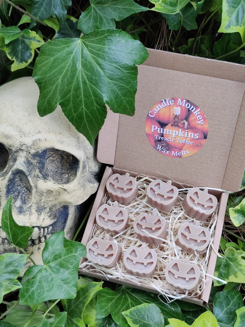 Pumpkins Soy Wax Melts in a choice of Pumpkin Spice, Bewitching Brew, Dragon's Blood, Hocus Pocus, Treacle Toffee, Love Potion Free UK Post