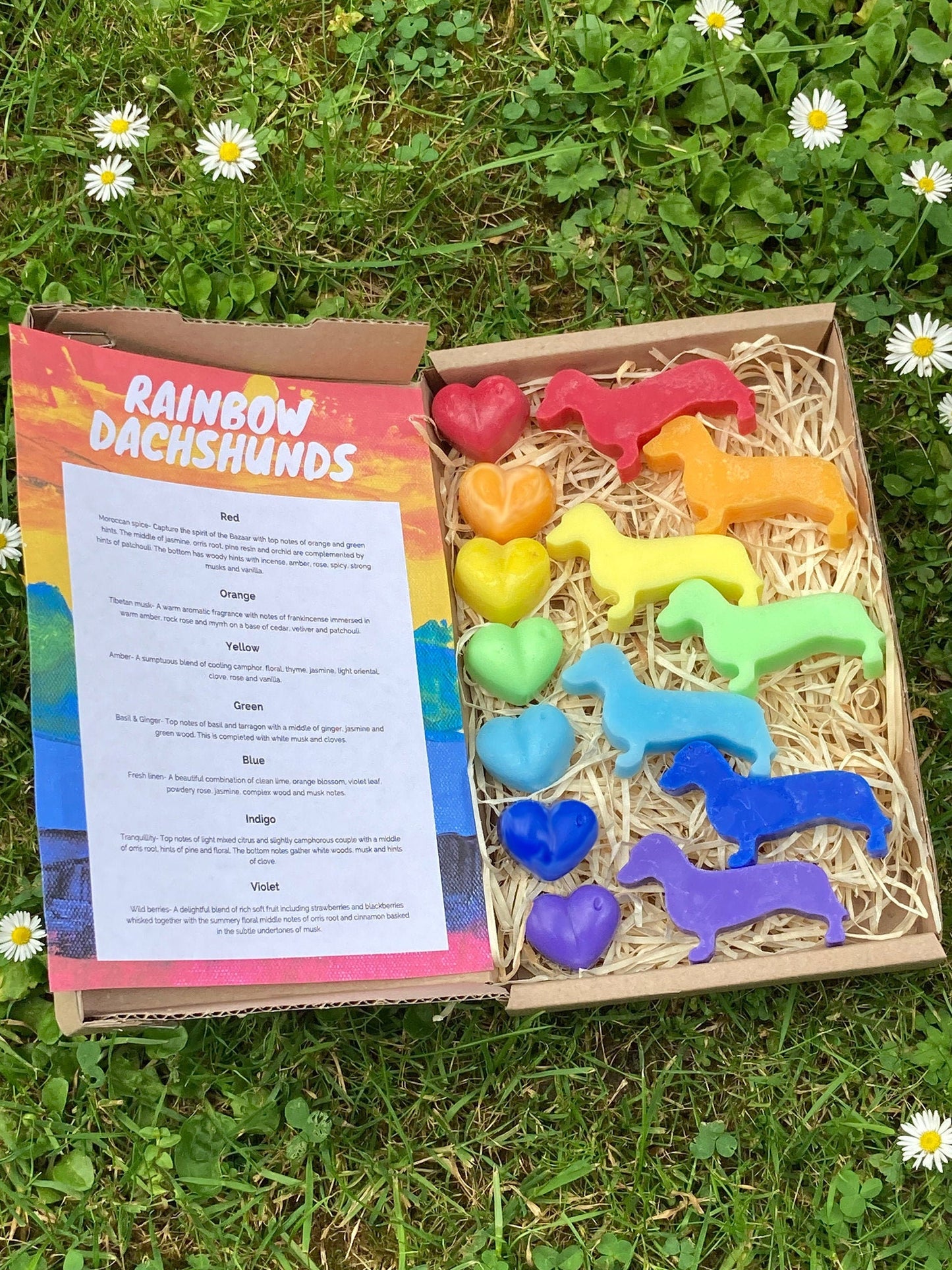 Dachshund Sausage Dog Rainbow 7 Colour Dogs Rainbow Gay Pride LGBTQIA+ Spring Wax Melts Free UK Post